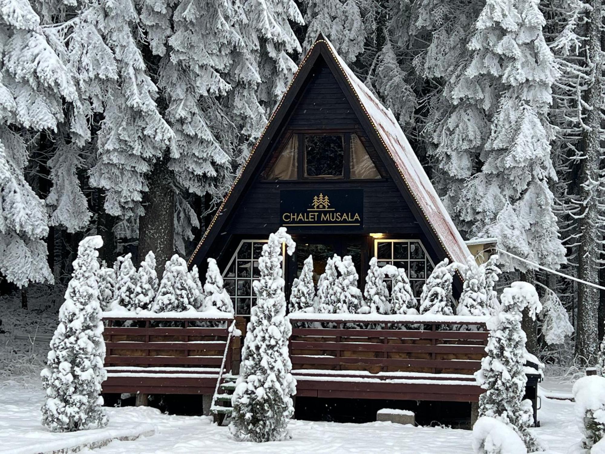 Villas Mura With Spa & Hot Swimming Pool Borovets Dış mekan fotoğraf